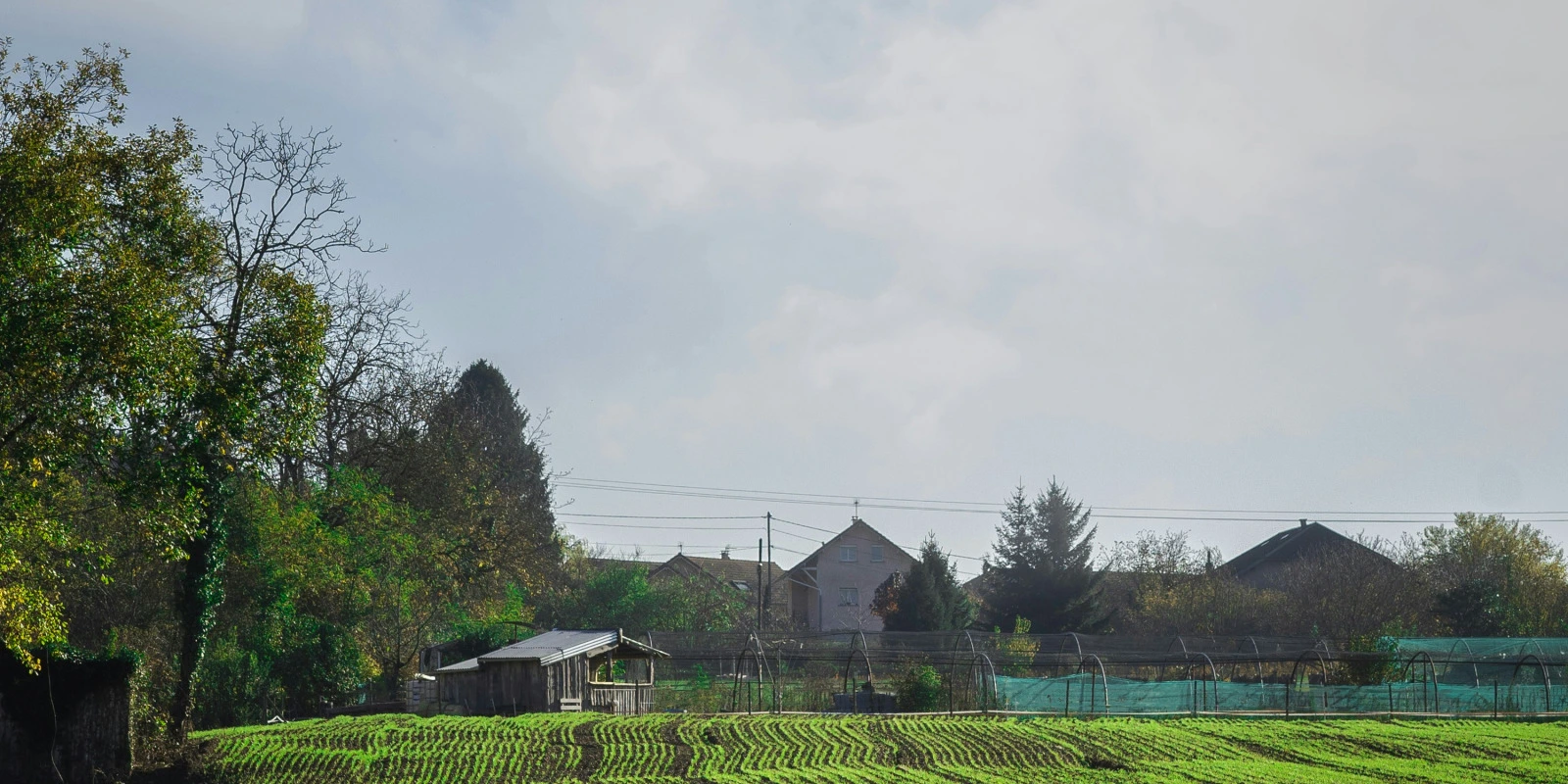 BUT Hygiène Sécurité Environnement : Diplôme et Certification