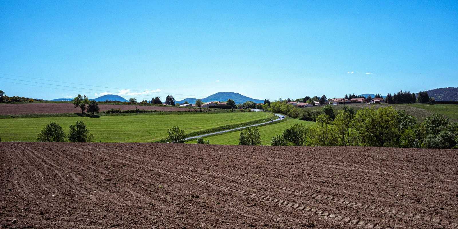 Formation Sécurité Hygiène : L'Essentiel pour Une Carrière Réussie
