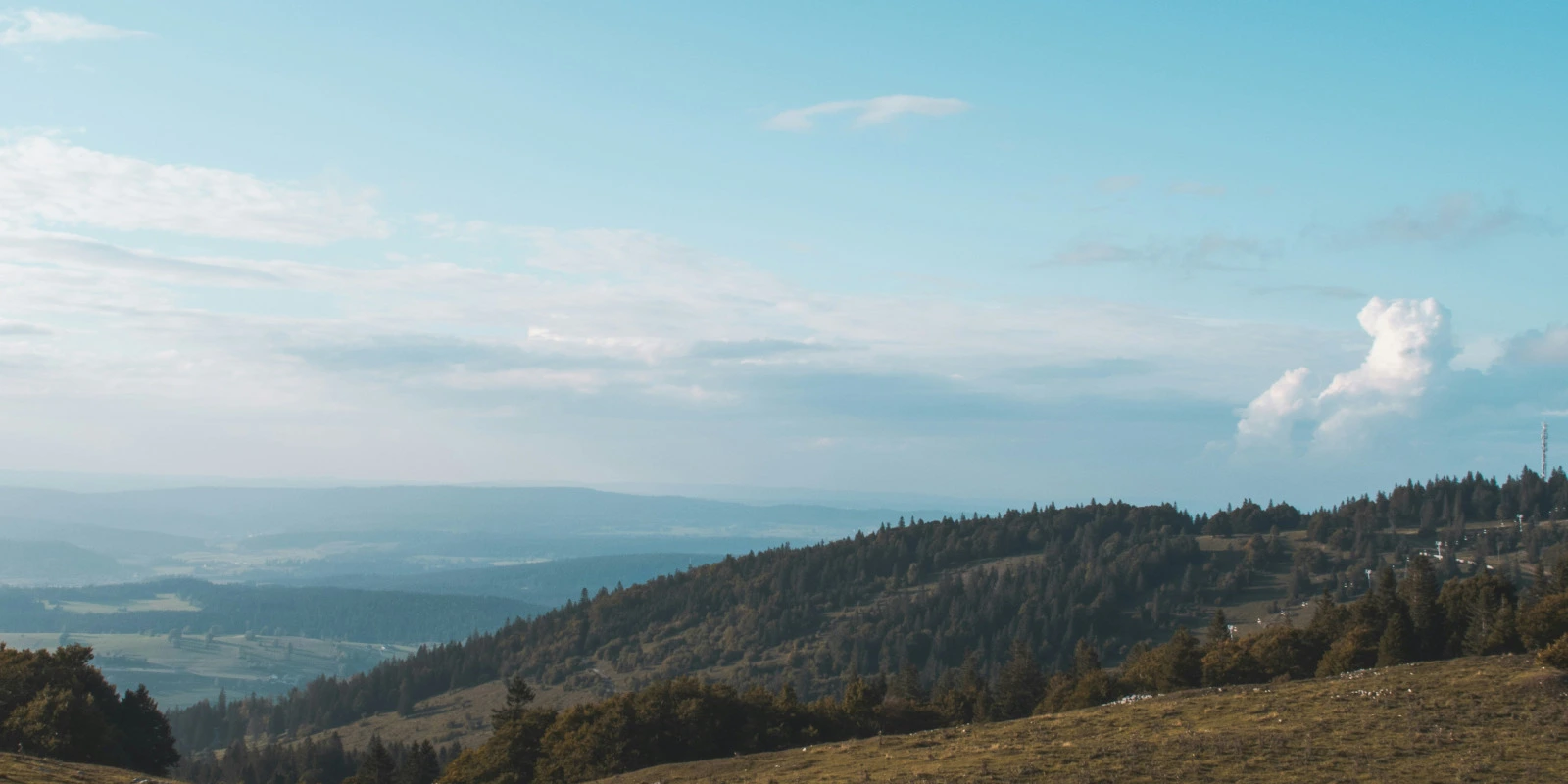 Les Fondamentaux du DUT Hygiène et Sécurité