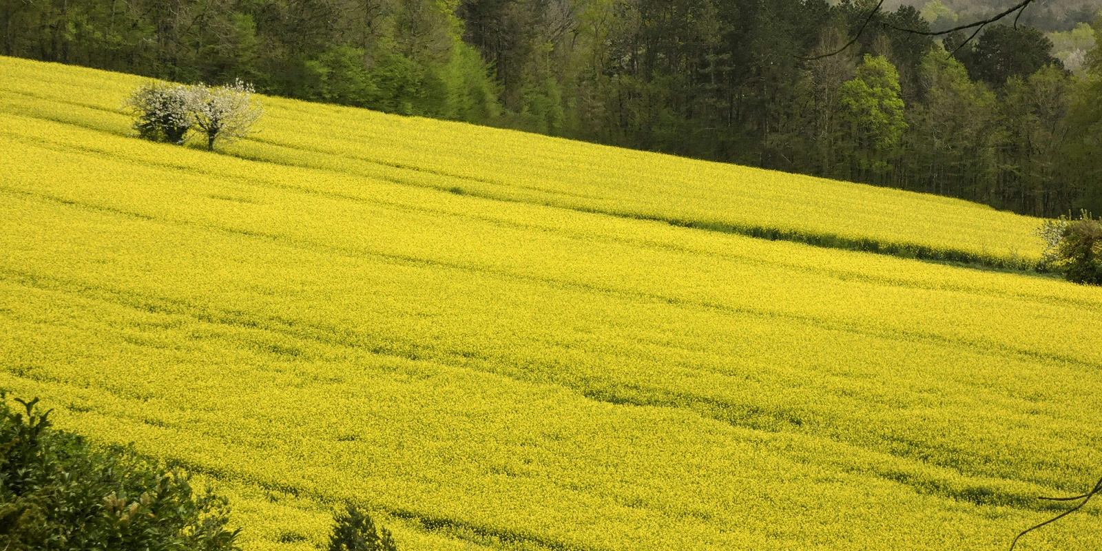 Qualité de Vie au Travail et Hygiène Sécurité Environnement