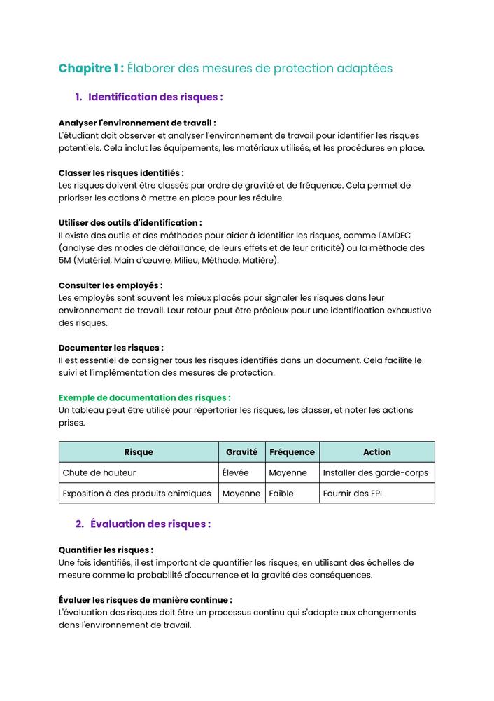 Example Fiche de Révision BUT HSE