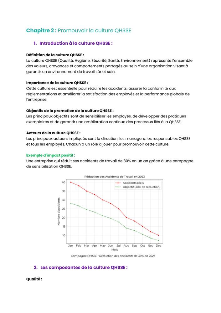 Example Fiche de Révision BUT HSE